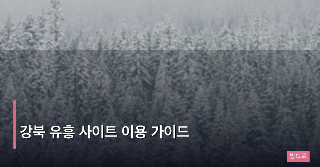 강북 유흥 사이트 이용 가이드