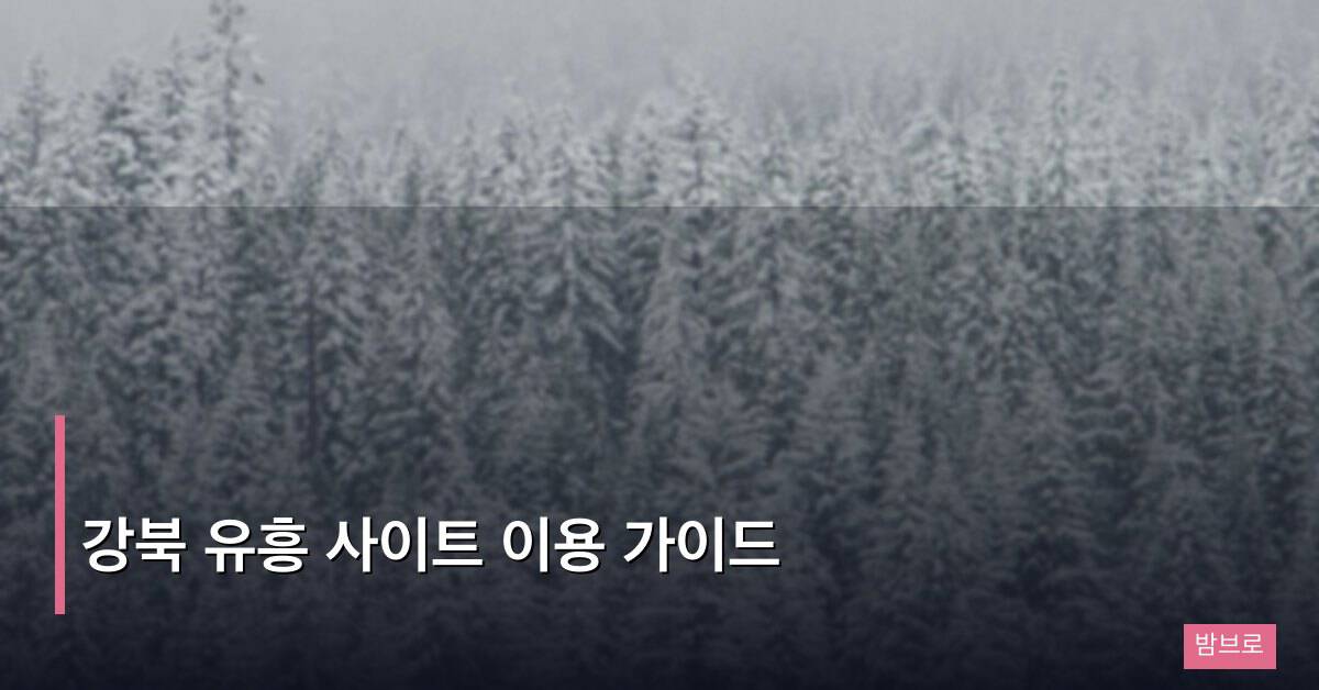 강북 유흥 사이트 이용 가이드