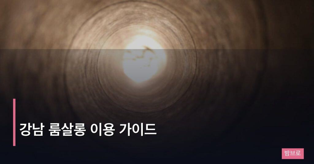 강남 룸살롱 이용 가이드