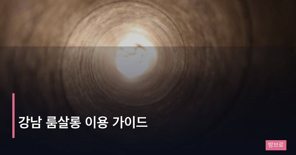 강남 룸살롱 이용 가이드