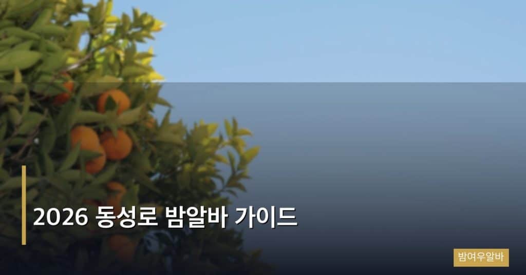 2026 동성로 밤알바 가이드