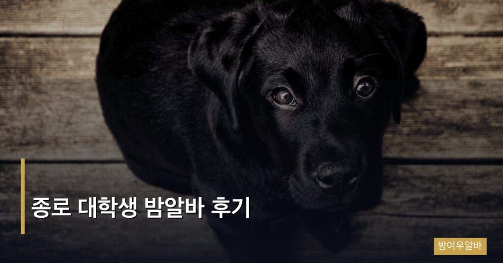 종로 대학생 밤알바 후기