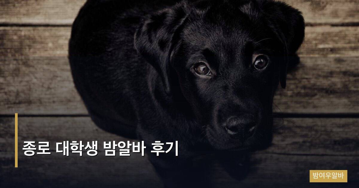 종로 대학생 밤알바 후기