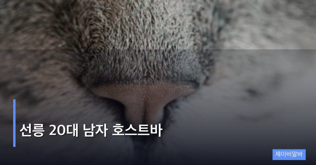 선릉 20대 남자 호스트바