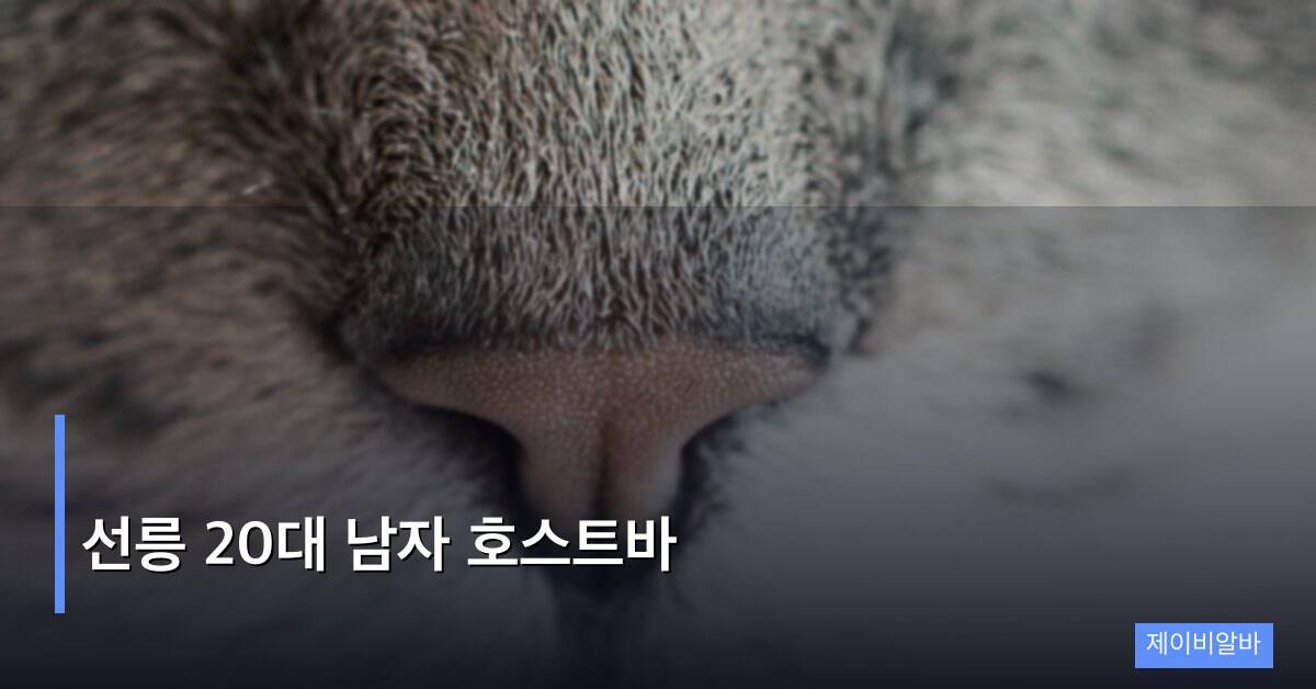 선릉 20대 남자 호스트바