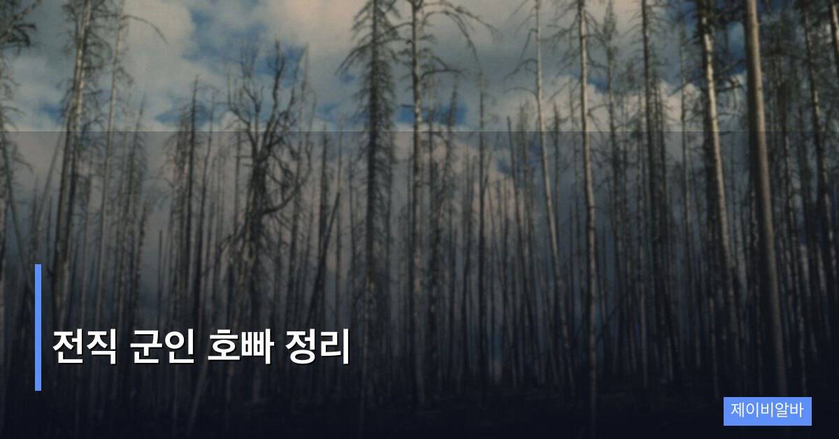 전직 군인 호빠 정리
