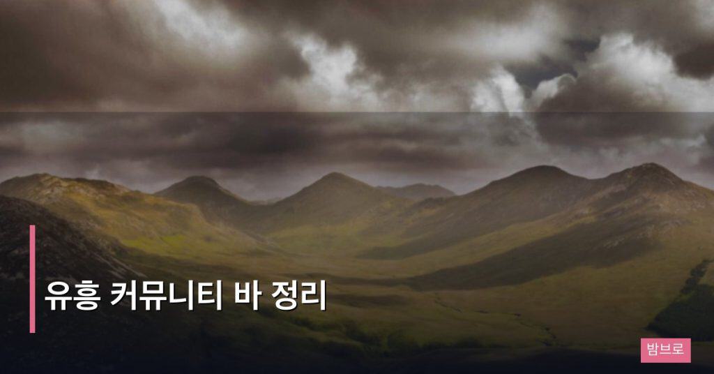 유흥 커뮤니티 바 정리