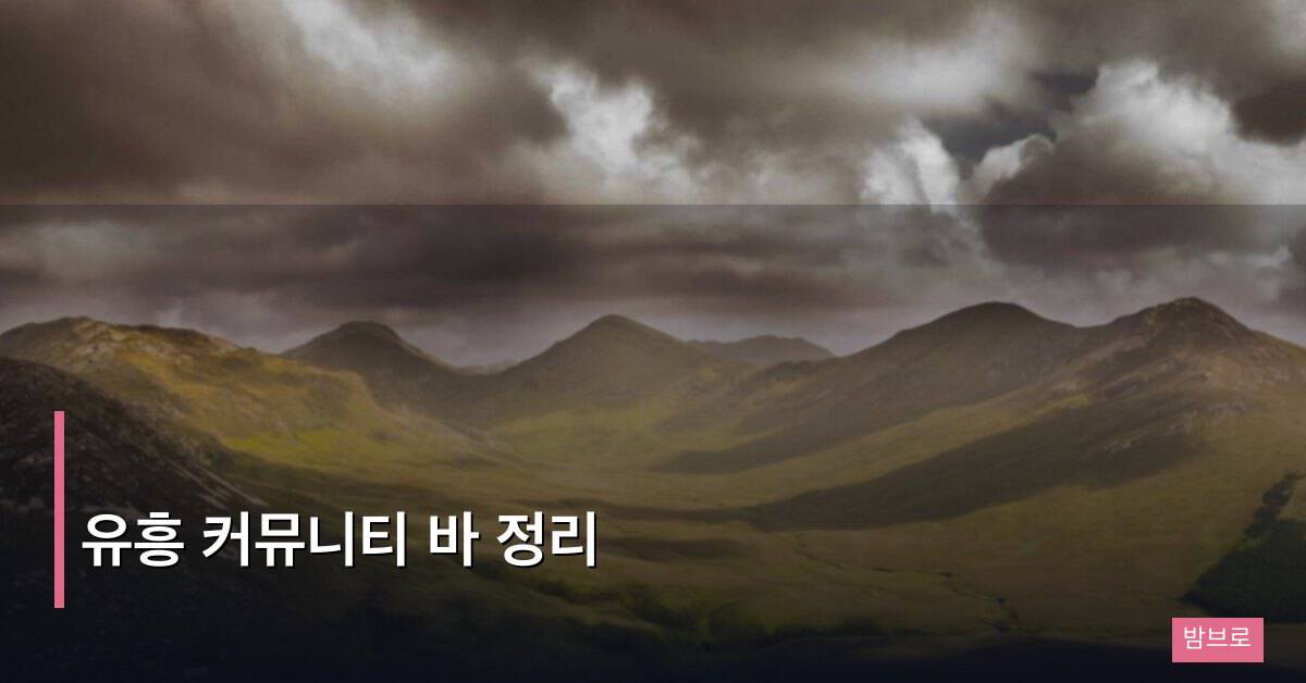 유흥 커뮤니티 바 정리