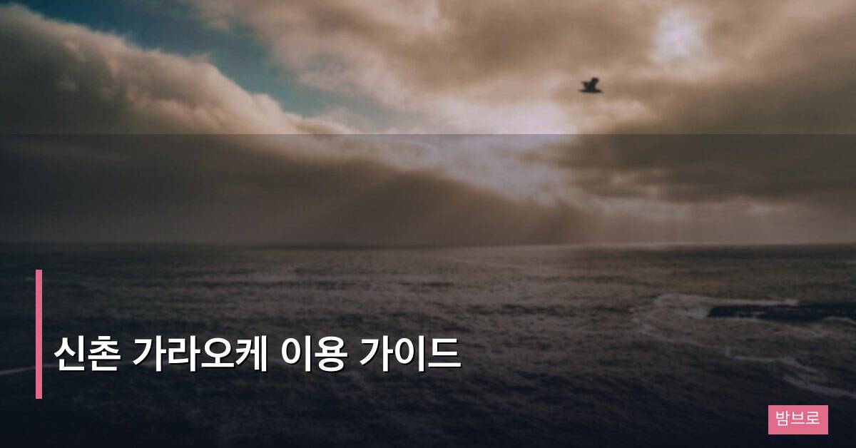 신촌 가라오케 이용 가이드
