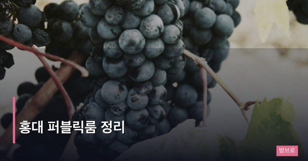 홍대 퍼블릭룸 정리