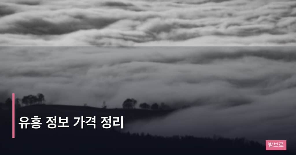 유흥 정보 가격 정리