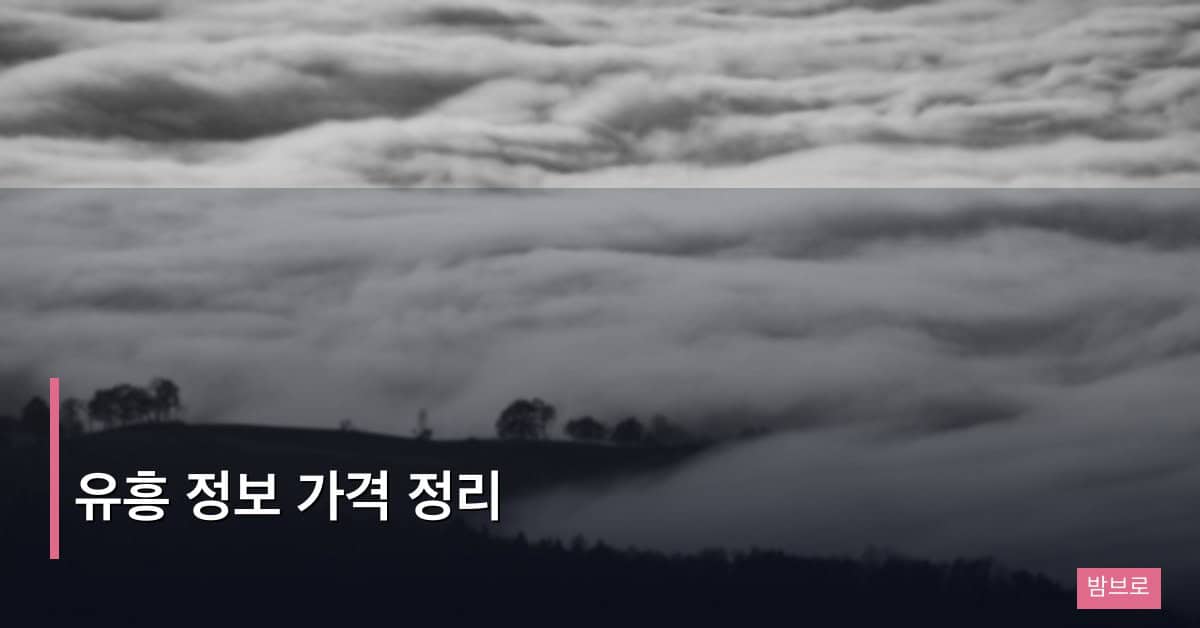 유흥 정보 가격 정리