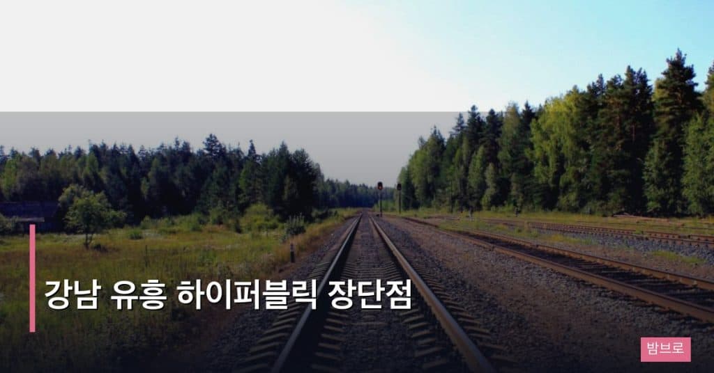 강남 유흥 하이퍼블릭 장단점