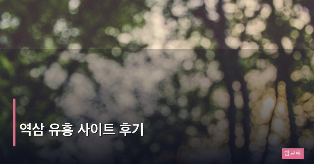 역삼 유흥 사이트 후기