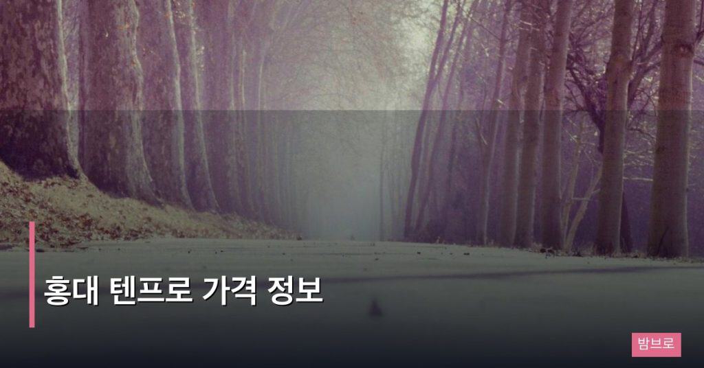 홍대 텐프로 가격 정보