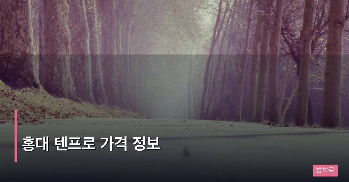 홍대 텐프로 가격 정보