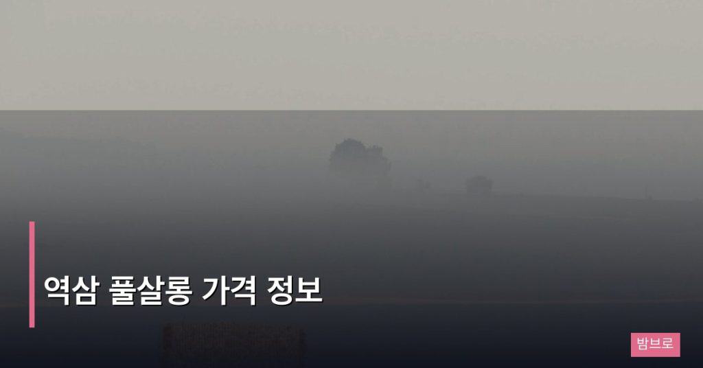 역삼 풀살롱 가격 정보