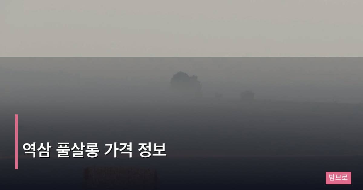 역삼 풀살롱 가격 정보