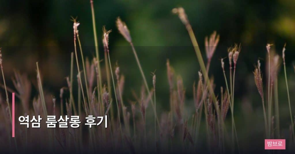 역삼 룸살롱 후기