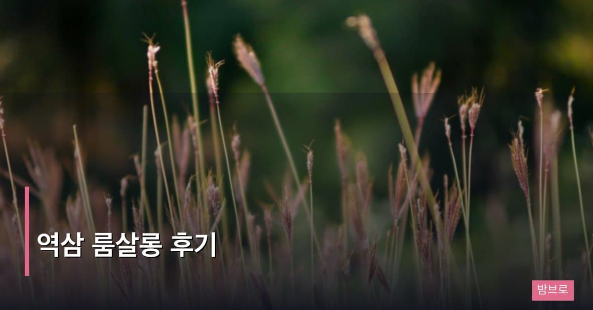 역삼 룸살롱 후기
